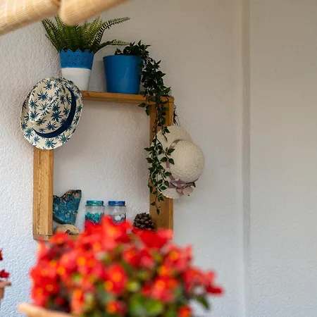 Apartment Kalic Stokovci